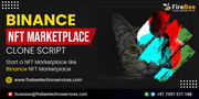 Binance NFT Marketplace Clone Script | Get a free demo